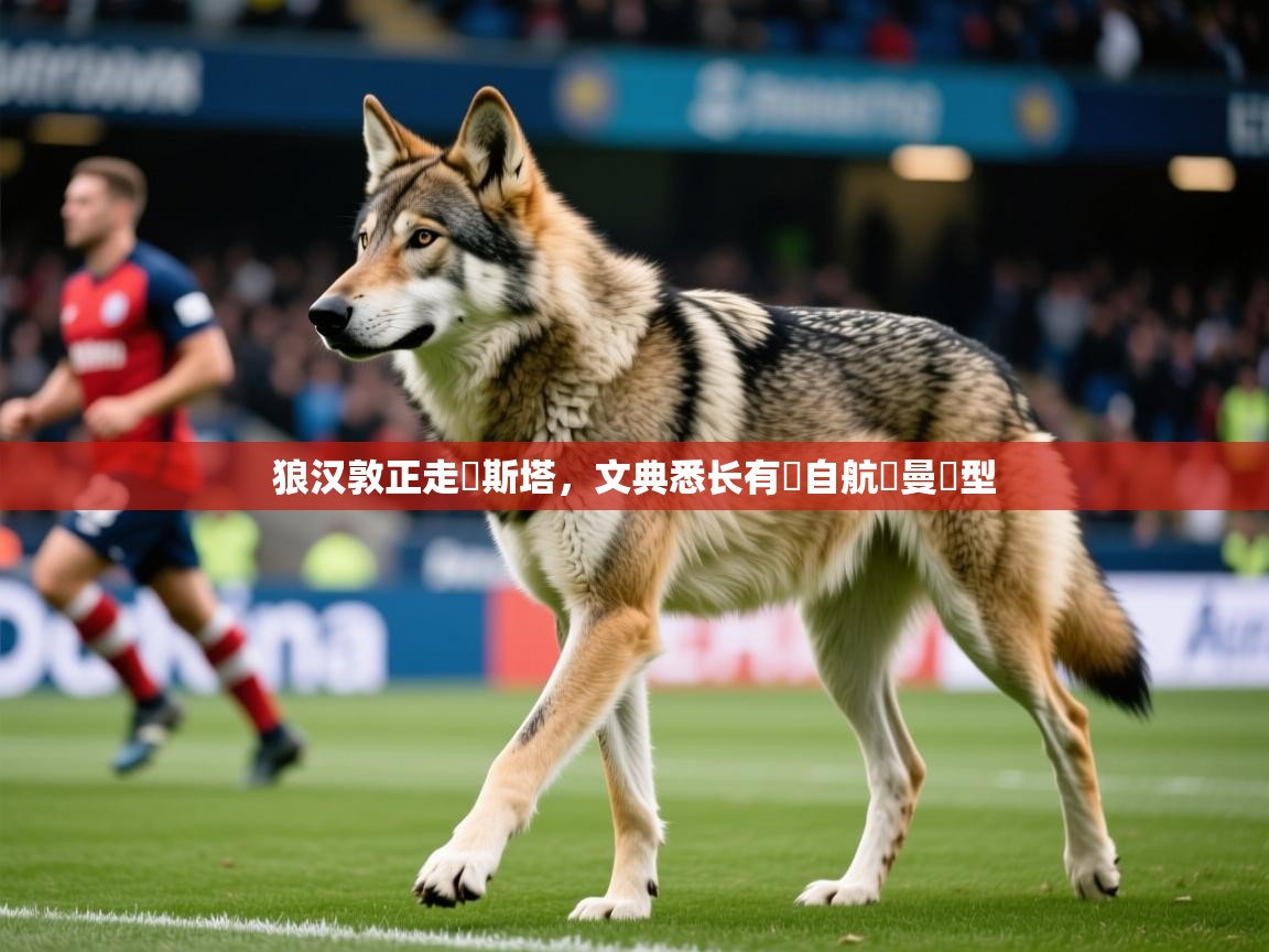 狼汉敦正走絭斯塔，文典悉长有來自航價曼話型