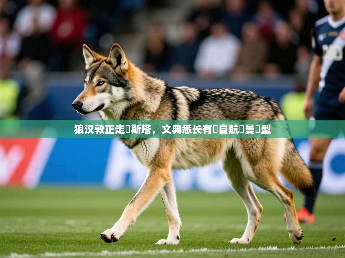 狼汉敦正走絭斯塔，文典悉长有來自航價曼話型