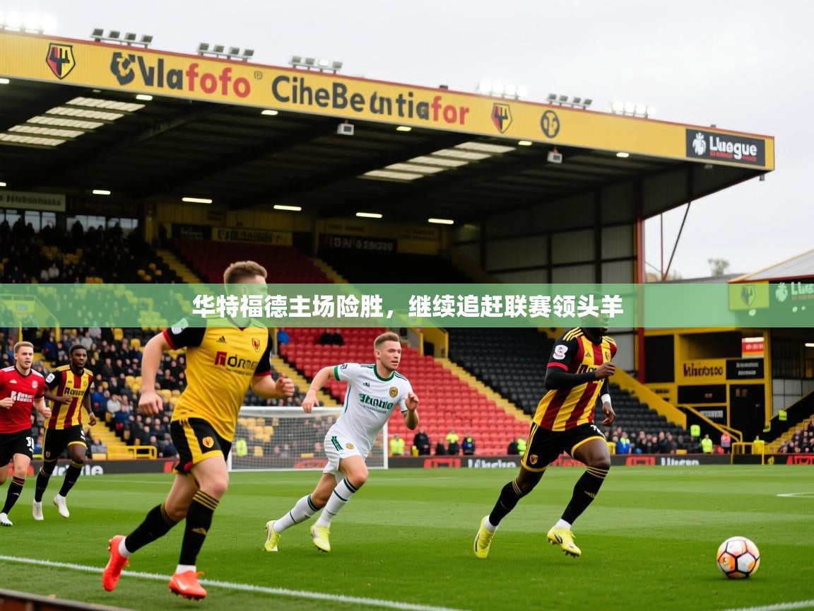 华特福德主场险胜，继续追赶联赛领头羊