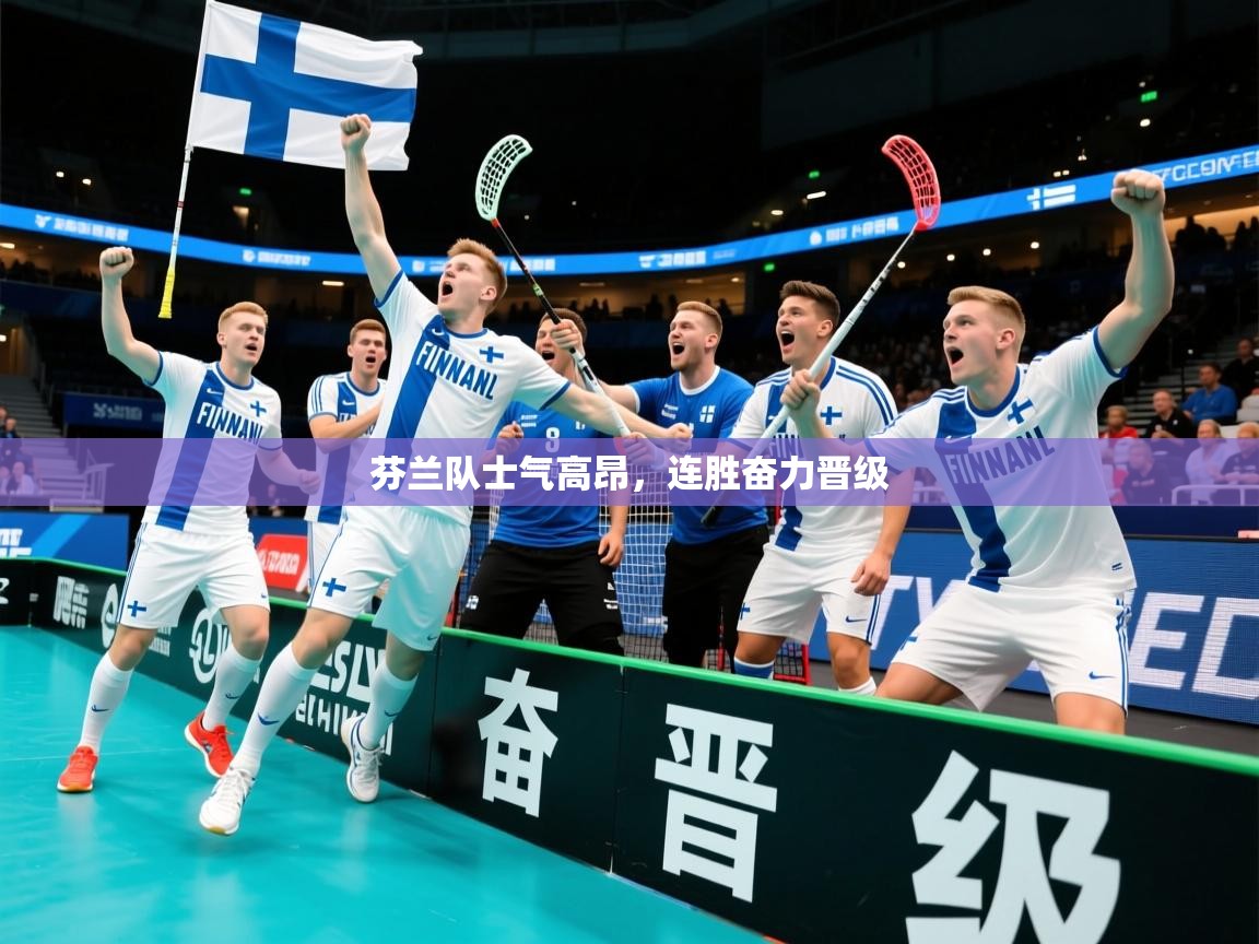 芬兰队士气高昂，连胜奋力晋级