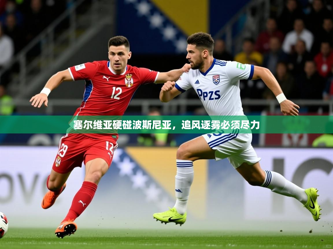 塞尔维亚硬碰波斯尼亚，追风逐雾必须尽力
