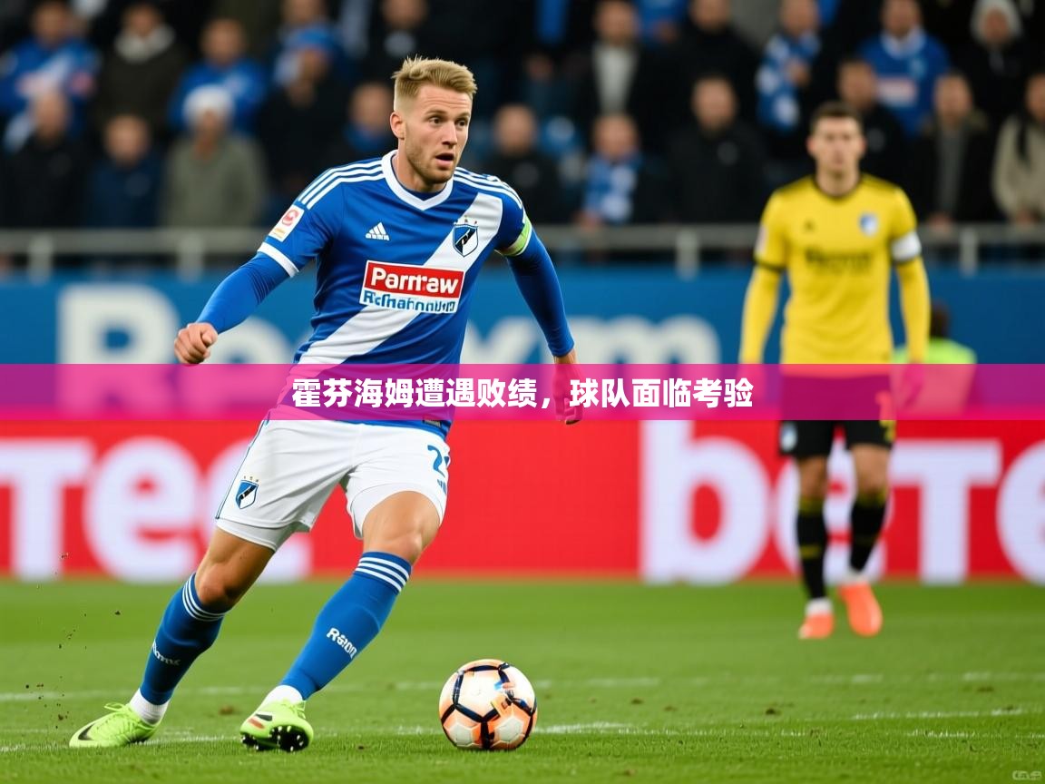 霍芬海姆遭遇败绩,球队面临考验 霍芬海姆遭遇败绩,球队面临考验