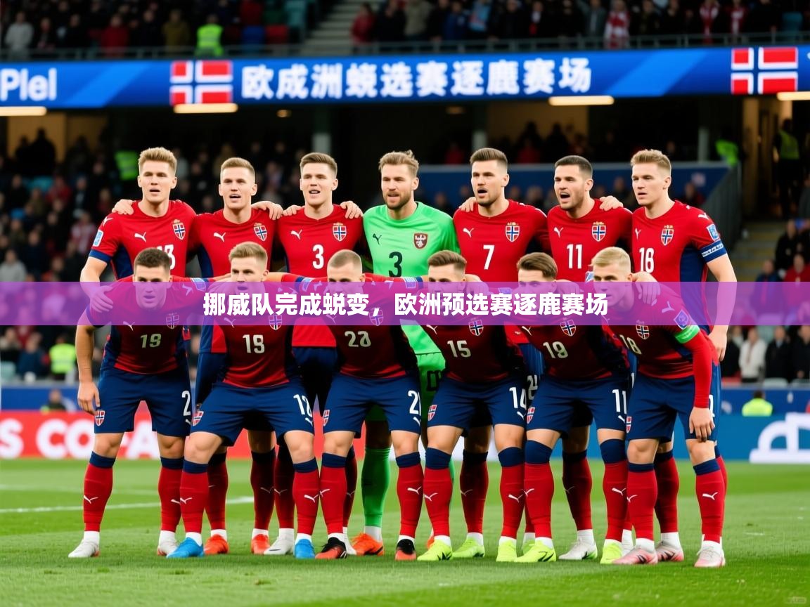 挪威队完成蜕变,欧洲预选赛逐鹿赛场 挪威队完成蜕变,欧洲预选赛逐鹿赛场