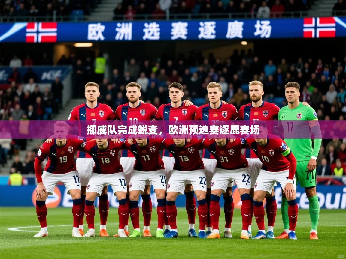 挪威队完成蜕变,欧洲预选赛逐鹿赛场 挪威队完成蜕变,欧洲预选赛逐鹿赛场